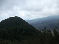 nte Rinatu-20110615 081